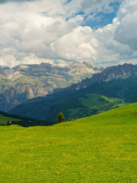 Yaz Aylarında Sella Geçidi Boyunca Dağ Manzarası Dolomites Bolzano Ili — Stok fotoğraf