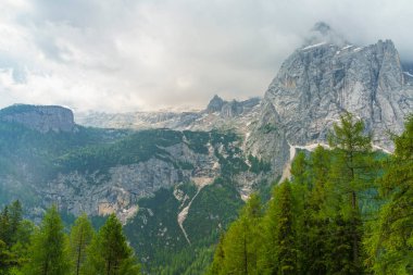 Yazın Fedaia geçidi boyunca uzanan dağ manzarası, Dolomites, Trentino Alto Adige, İtalya