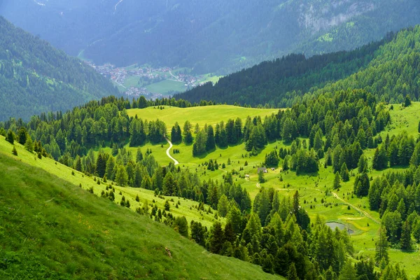 Yaz Mevsiminde Sella Geçidi Boyunca Dağ Manzarası Dolomites Trentino Alto — Stok fotoğraf