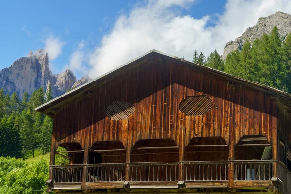 Paisagem Montanhosa Verão Longo Estrada Para Forcella Staulanza Selva Cadore — Fotografia de Stock