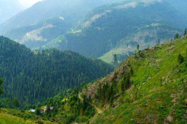 Yazın Colle Santa Lucia, Dolomites, Belluno, Veneto, İtalya 'ya giden yol boyunca dağ manzarası.