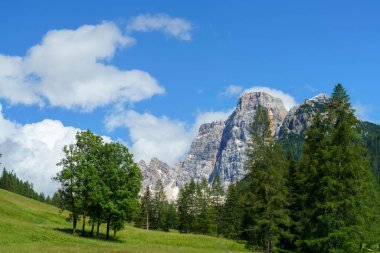 Yaz mevsiminde Selva di Cadore, Dolomites, Belluno ili, Veneto, İtalya 'daki Forcella Staulanza yolunda dağ manzarası.