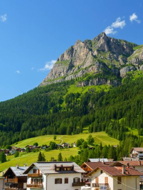 Yaz mevsiminde Selva di Cadore, Dolomites, Belluno ili, Veneto, İtalya 'daki Forcella Staulanza yolunda dağ manzarası.