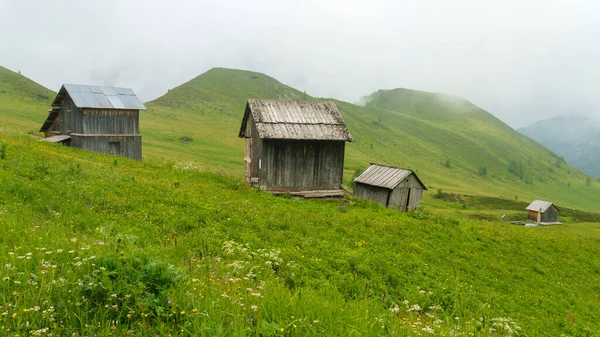 Berglandschaft Sommer Entlang Der Straße Zum Giau Pass Dolomiten Provinz — Stockfoto