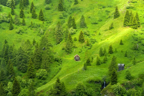 Mountain Landscape Summer Road Giau Pass Dolomites Belluno Province Veneto — Stock Photo, Image