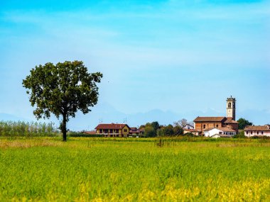Tainate yakınlarındaki kır manzarası, Milano, Lombardy, İtalya