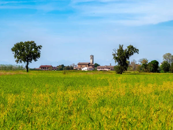 Tainate yakınlarındaki kır manzarası, Milano, Lombardy, İtalya