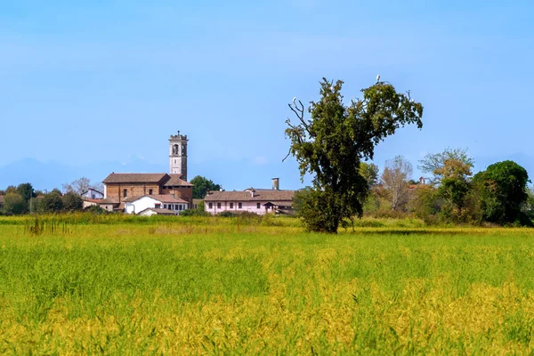 Tainate yakınlarındaki kır manzarası, Milano, Lombardy, İtalya