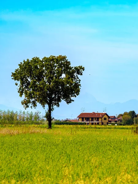 Tainate yakınlarındaki kır manzarası, Milano, Lombardy, İtalya