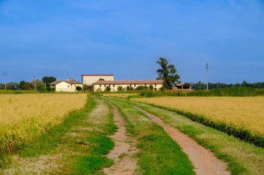 Gaggiano yakınlarındaki kır manzarası, Milano, Lombardiya, İtalya