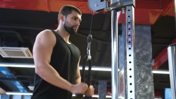 Sporten bodybuilding träning man träna triceps — Stockvideo