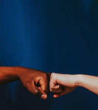 ırksal hoşgörü saygı sosyal birlik eller