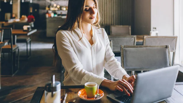 Freelancer estilo de vida en línea trabajo mujer de negocios — Foto de Stock