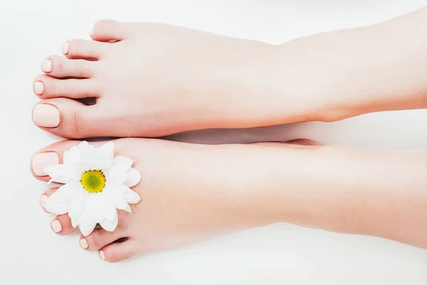 Spa therapie organische behandeling pedicure vrouwelijke voeten — Stockfoto