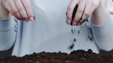 Toprak değeri ipotek kredisi kadın elleri toprak paralar