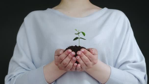 Växt omtänksam kvinnliga händer håller planta — Stockvideo