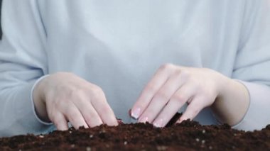 verimli toprak kazançlı yatırım elleri toprak para