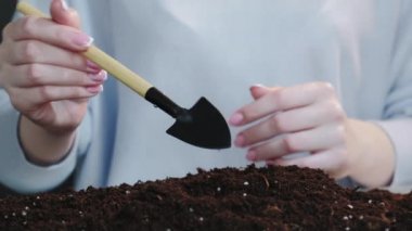 Ağaç yetiştirme. Toprak yetiştirme. Toprak yetiştirme.