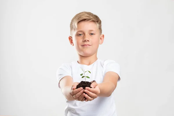 Plante soins mains sympathique garçon semis vert — Photo