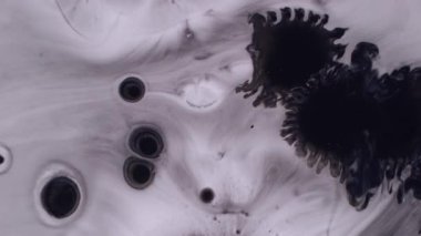 Sıçrayan lekeler. Islak kağıt mürekkebi. Siyah pigment sıvısı beyaz akrilik arkaplanı düşürür. Gri kirli sıçrama lekesi soyut bulanık doku.