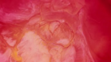 Boya patlaması. Soyut sıçrama. Odaksız pembe, kırmızı, kırmızı, su, mürekkep, sıvı, akrilik dökümü sanatın yaratıcı arka planına.