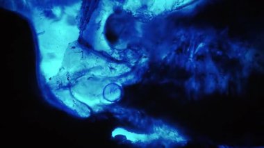 Moleküler suyu boya. Dalgalı mürekkep dokusu. Odaklanmamış mavi neon renk damla koyu siyah akış sıvı damlası soyut ışık arka planına yayılıyor.