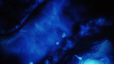 Mavi sıvı. Boya parçacıkları. Odaklanmamış neon rengi su maddesi soyut ışık arka planına yayılan koyu siyah akış damlacığını bırak.