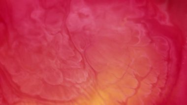 Renk sanatı. Karışık su sıçratma. Odaklanmamış pembe kırmızı su mürekkebi sıvı boya damlası modern soyut ıslak yaratıcı arka plana damlıyor..