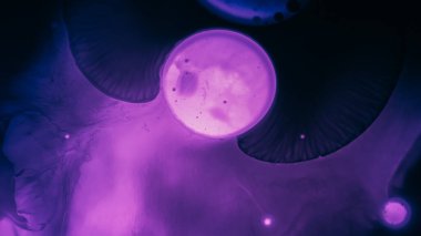 Sıvı moleküler. Sıvı dalga. Odaklanmamış mor neon rengi su parıltısı boya damlası mürekkep damlası açık renk sanat dokusuna yayılan siyah leke..