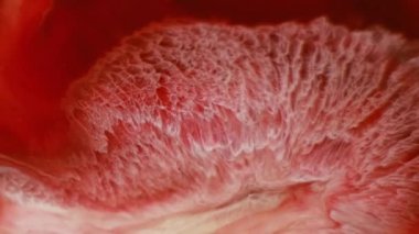 Dalgalanma dokusu. Akış sanatı. Su sıvısı mermer emülsiyonunda çözünmüş kırmızı pembe boya soyut koyu siyah arkaplana yayılıyor..