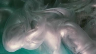 Parlak boya. Renk sıvısı. Odaklanamayan mor mürekkep, kıvrımlı akrilik buhar, soyut yaratıcı siyah arka planda yükseliyor..