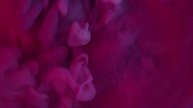 Sanat buharı. Sis mürekkebi kıvrılıyor. Parlak renk sprey akışı pigmentleri karıştırıyor. Mor pembe sıçrama kıvrımı soyut odaklanmış sıvı arkaplanı döküyor.