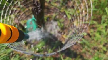 Su püskürtüsü, korumacı metal ağlarla çevrili genç ağaç tabanını dikkatlice sulayarak, kırsal alanda sağlıklı bitki gelişimini ve optimal su akışını destekliyor.