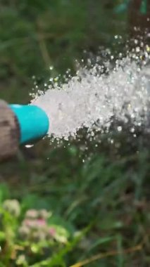 Bahçe hortumundan akan su, köpüklü sprey ve ferahlatıcı damlacıklar oluşturur canlı montaj ile yaz bahçıvanlığı anını yakalar