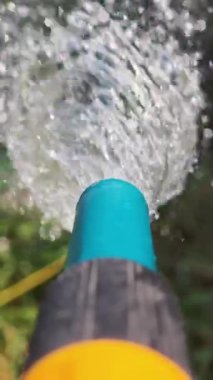 Basınçlı bahçe hortumu akan su, parlak yaz aylarında bahçe bakımı sırasında yeşil bitkileri ve otları dikkatlice besliyor.