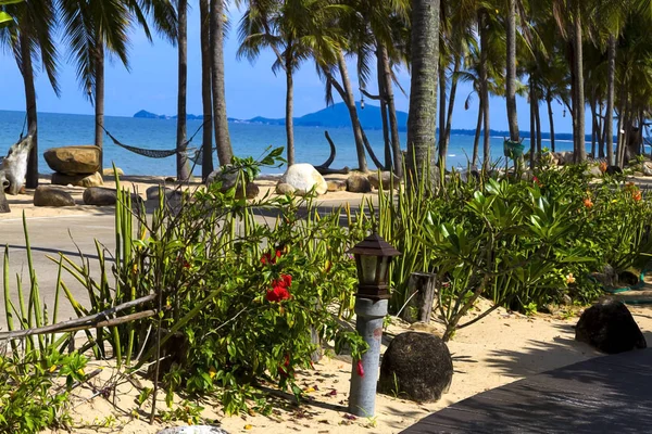 Plaj Ban Krut plaj pastoral Hindistan cevizi ve çiçek Prachuap Khirikhun il, Tayland, Thailand, seyahat için ünlüdür