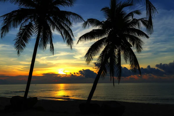 Coco Com Crepúsculo Praia Ban Krut Beach Província Prachap Kirikhun — Fotografia de Stock