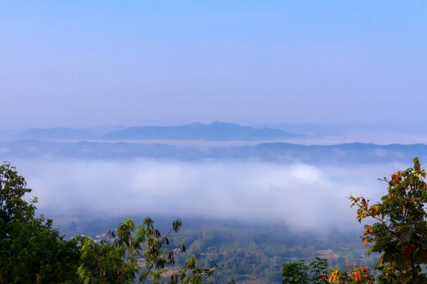  Gün doğumu ve ışık sabah ile pastoral sis