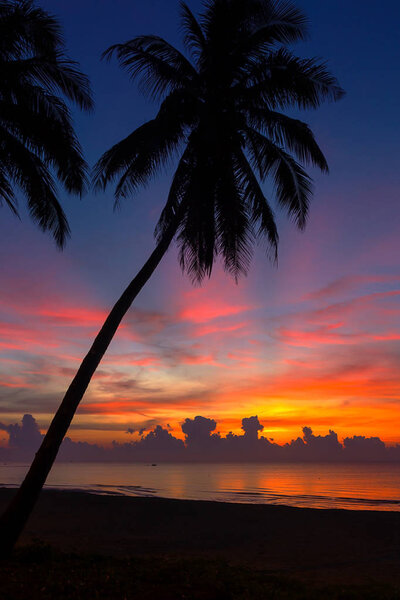 Sunrise silhouette beautiful on beach at Thung Wua Lan Beach, Chumphon Province Thailand