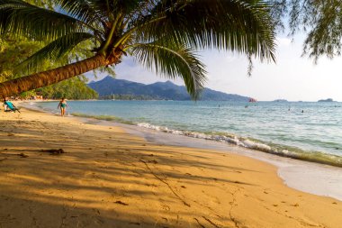 Koh Chang Tayland sahilinde hindistan cevizi ve güneş ışığı akşamı