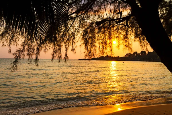 Coucher Soleil Idyllique Avec Silhouette Arbre Plage Koh Chang Thaïlande — Photo