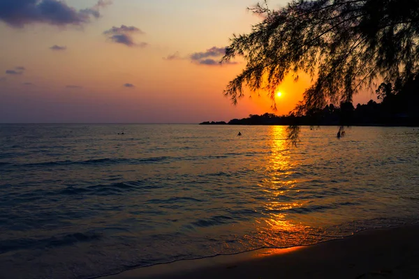 Pôr Sol Idílico Com Sombra Pinho Praia Koh Chang Tailândia — Fotografia de Stock