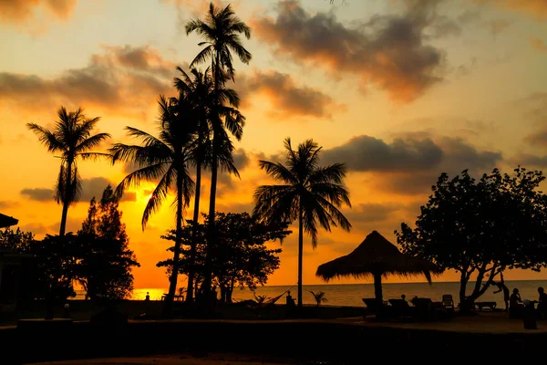 Pôr Sol Com Coco Silhueta Praia Bailan Koh Chang Tailândia — Fotografia de Stock