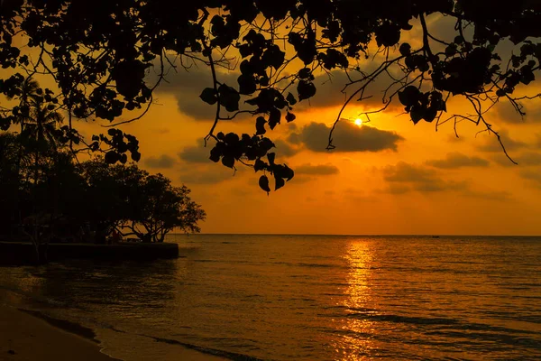 Pôr Sol Com Sombra Negra Árvore Praia Bailan Koh Chang — Fotografia de Stock