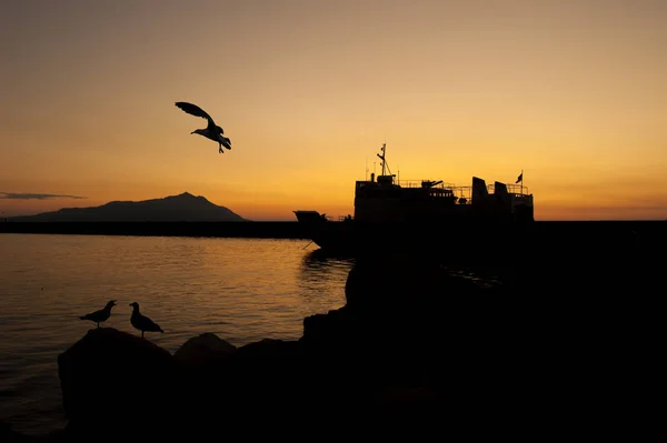 Silhouettes Architecture Sunset — Stock Photo, Image