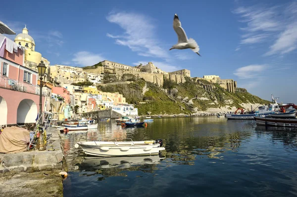 Vue Imprenable Sur Île Procida Campanie Naples Photos De Stock Libres De Droits