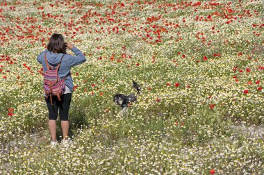 Genç bir kadın akıllı telefonuyla bir çiçek tarlası fotoğrafı çekiyor..