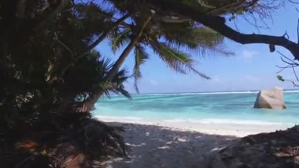 Gå mot stranden genom palmer, La Digue, Seychellerna — Stockvideo