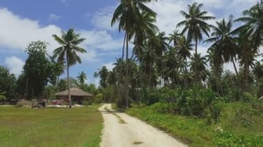 Palmiye ağaçları ve egzotik adada, La Digue, Seyşeller 2 küçük Hut görünümü