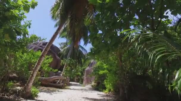 Passeggiando attraverso la foresta delle palme e rocce sulla spiaggia, La Digue, Seychelles — Video Stock